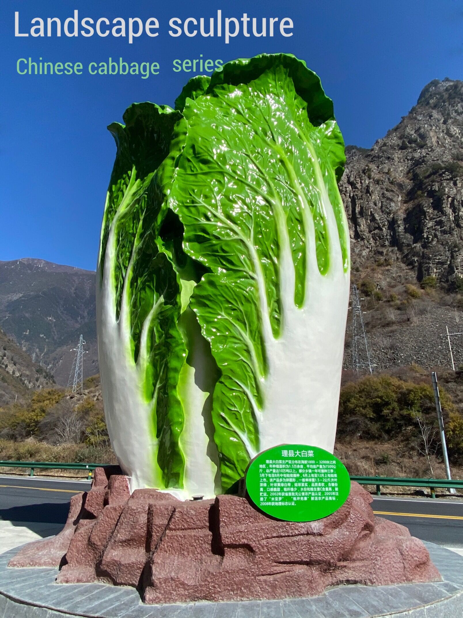 蔬菜瓜果设计与玻璃钢南瓜胡萝卜大白菜雕塑艺术相结合_名妍雕塑何总监-站酷ZCOOL
